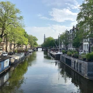 A canal in June