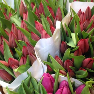 Tulips at the flower market