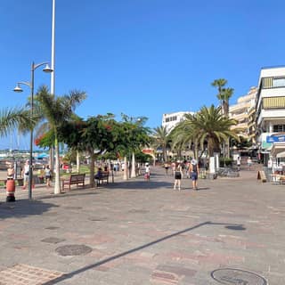 A palm-lined promenade in Los Cristianos